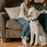 Photo by sarandy westfall on Unsplash